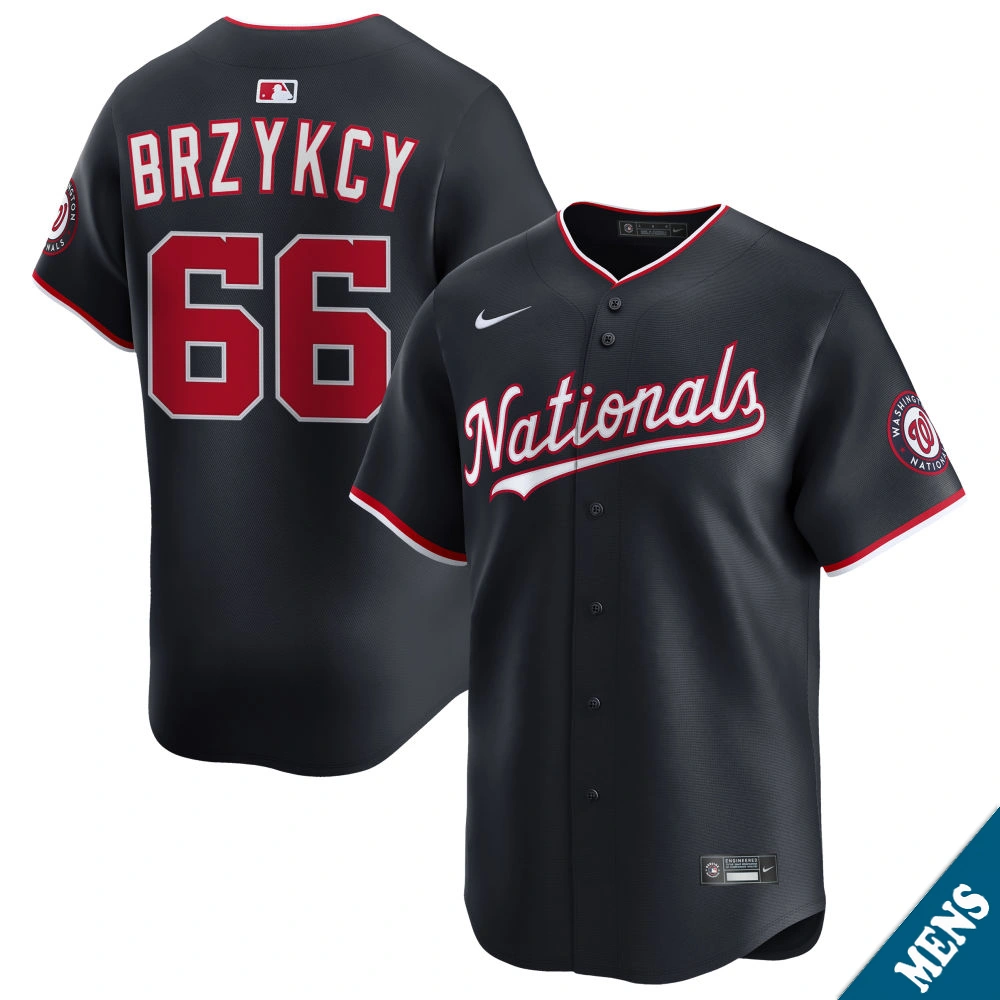 Men's Washington Nationals Zach Brzykcy #66 Navy Alternate Limited Jersey